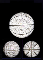 Luminous Glow Basketball